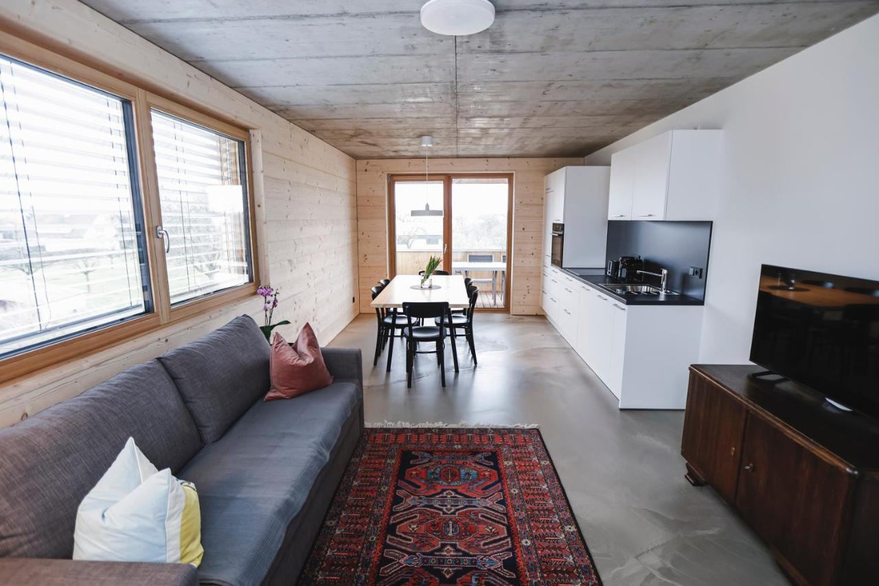 Boutique Apartments Lustenau Nachhaltige Kuehlung Ueber Erdsonde Und Fussbodenkuehlung Luaran gambar